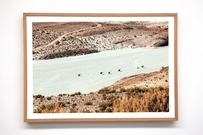 We are Pampa: 'Puna #1' Framed Print