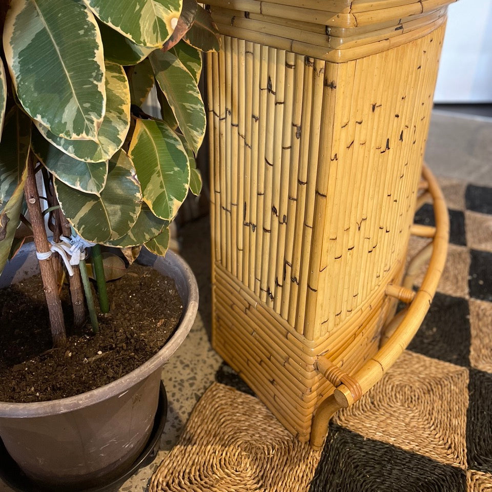Vintage Bamboo Bar