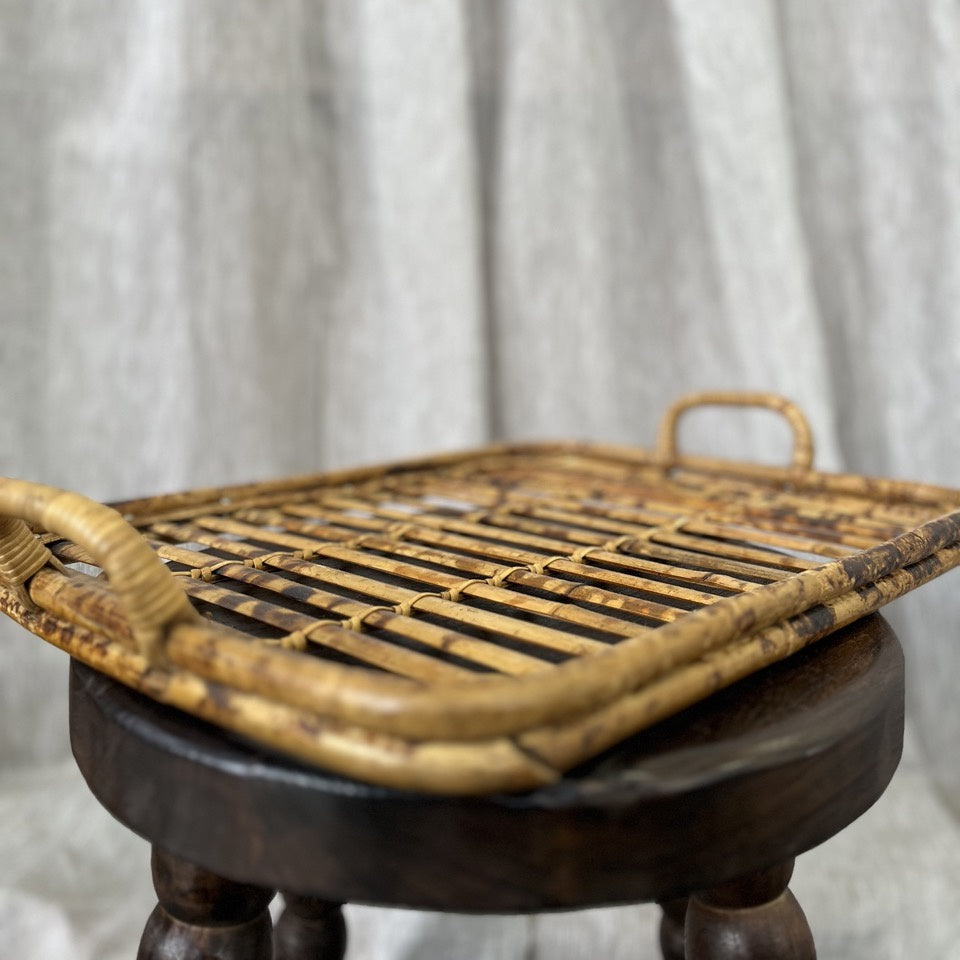 Vintage Cane Tortoise Tray