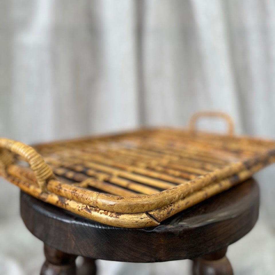 Vintage Cane Tortoise Tray