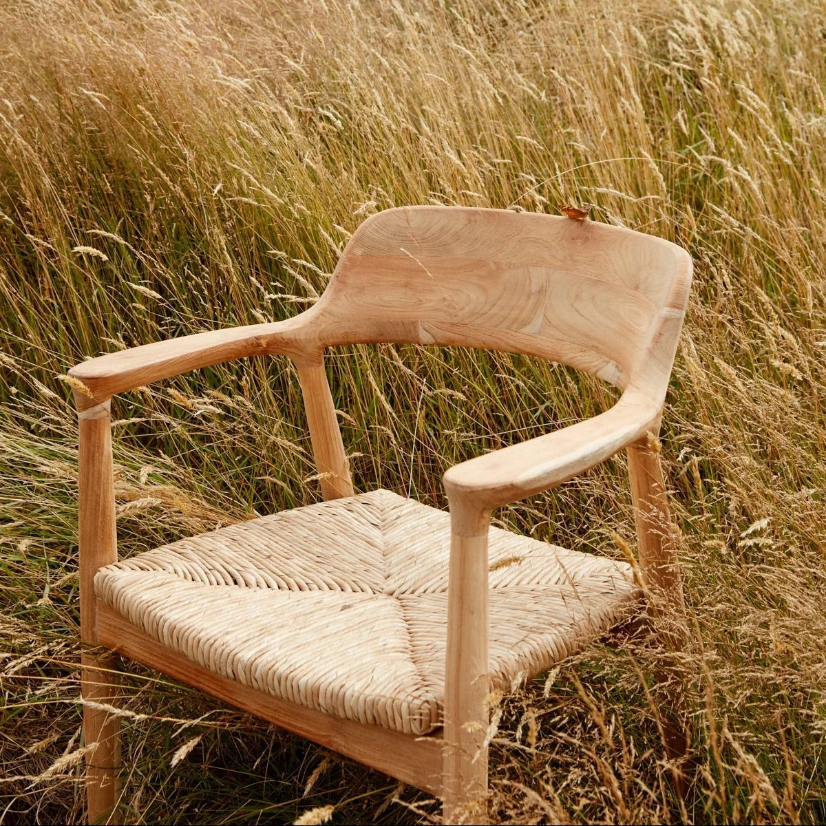 Vivica Dining Chair
