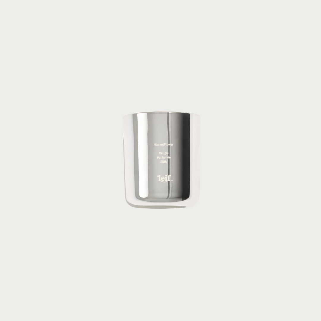 Silver flannel flower leif limited editon scented candle 